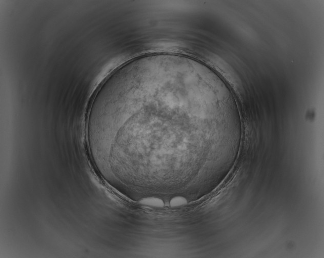 X0000089370994200707131633