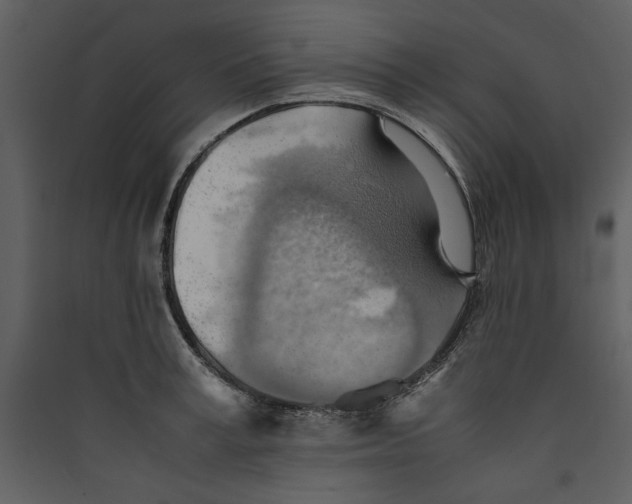 X0000089370995200707131633