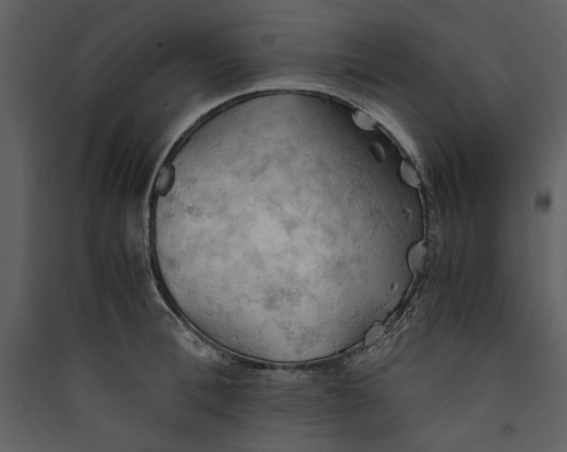 X0000089370996200707131633