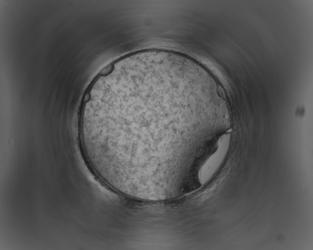 X0000089370999200707131633