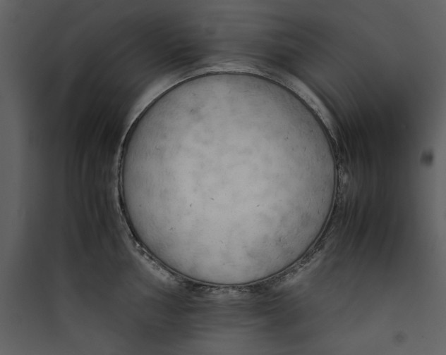 X0000089371002200707131633