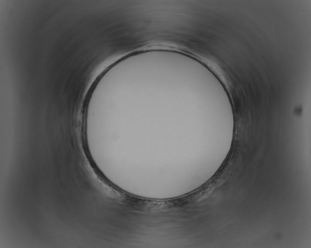 X0000089371003200707131633