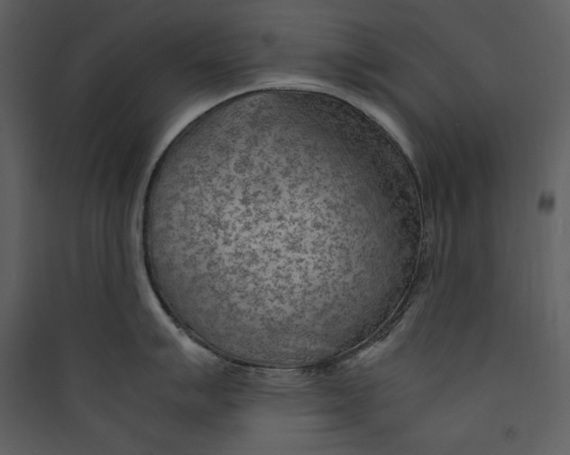 X0000089371007200707131633