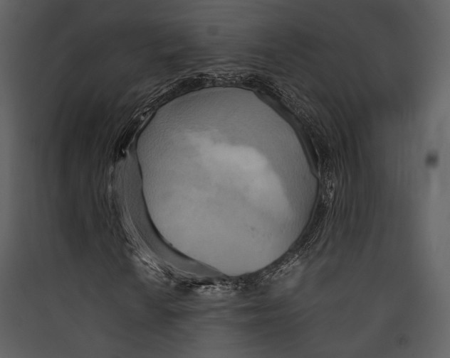 X0000089371010200707131632