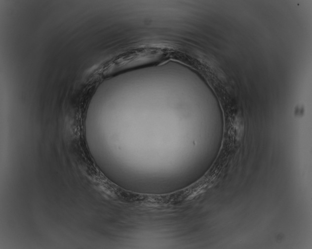 X0000089371014200707131632