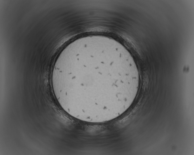 X0000089371017200707131632