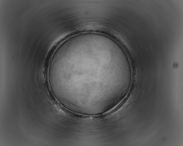 X0000089371018200707131632