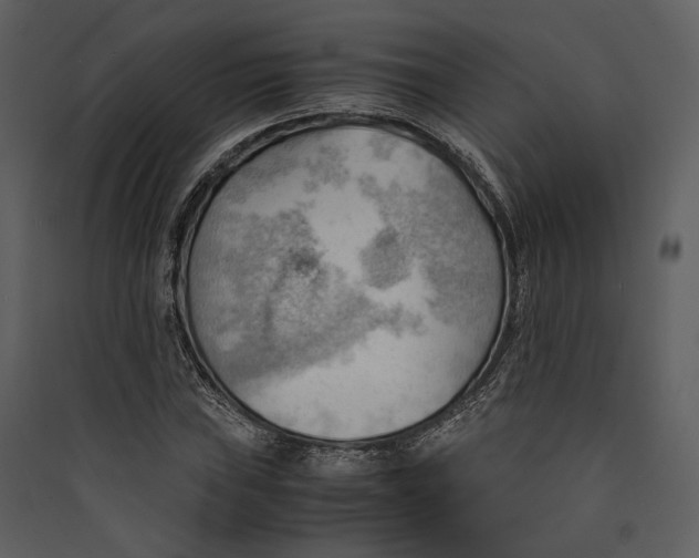 X0000089371019200707131632