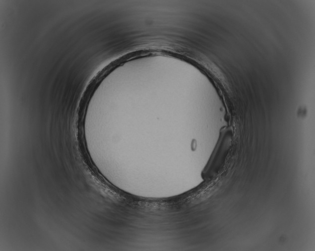 X0000089371020200707131632