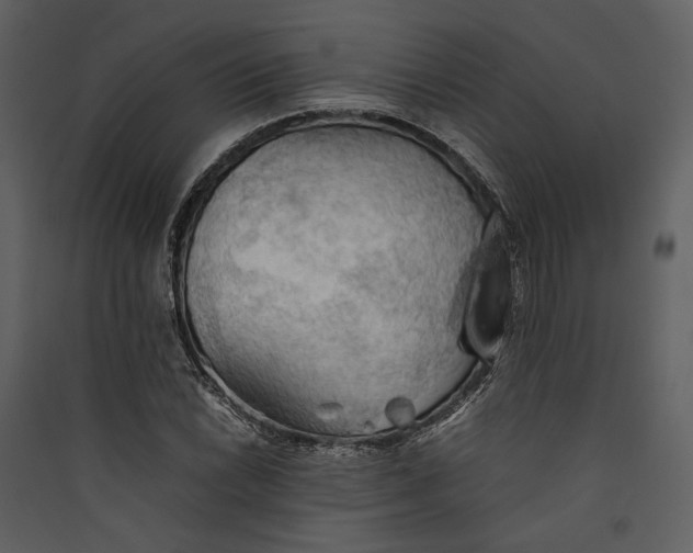 X0000089371022200707131632