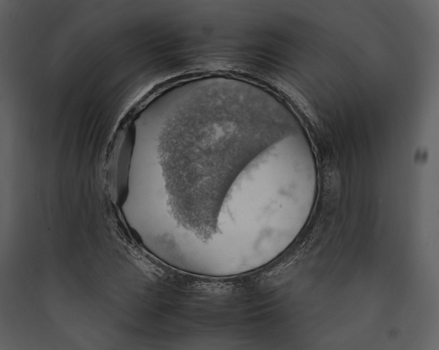 X0000089371023200707131632