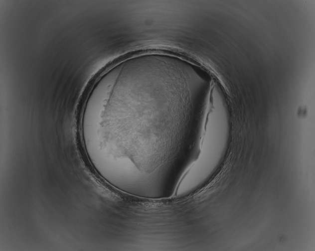 X0000089371024200707131632