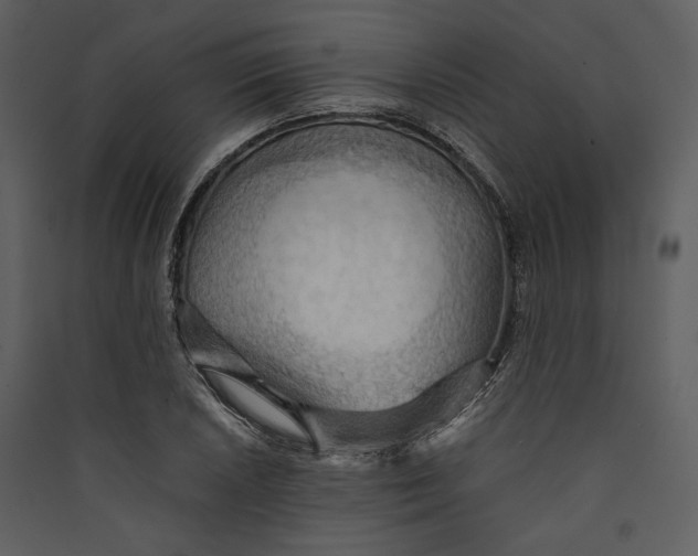 X0000089371026200707131632