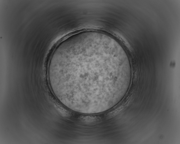 X0000089371027200707131632