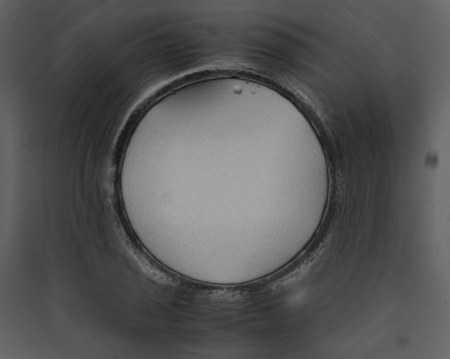 X0000089371029200707131632