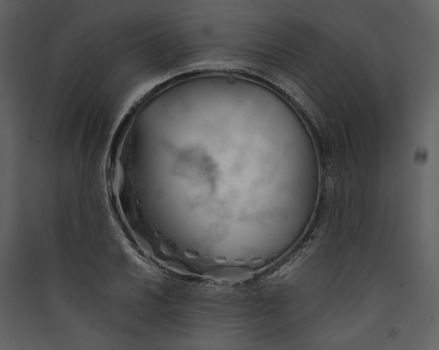 X0000089371030200707131632