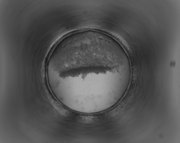 X0000089371031200707131632