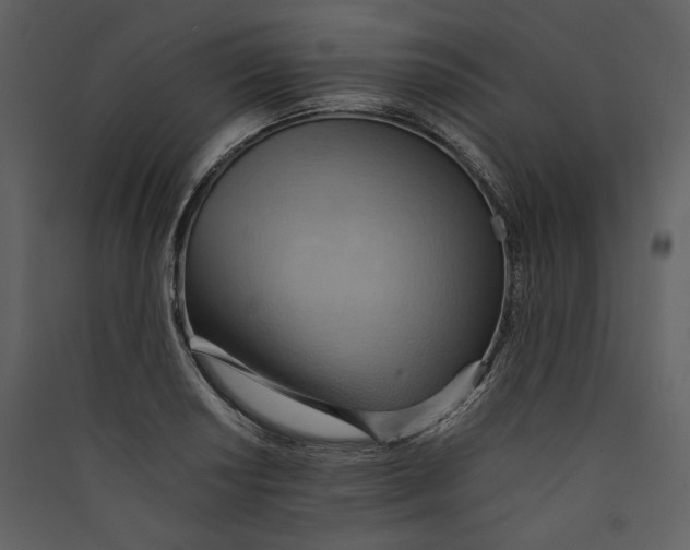 X0000089371034200707131632