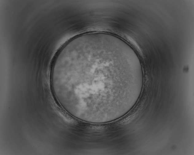 X0000089371035200707131632