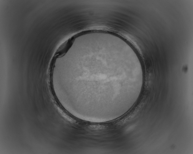 X0000089371037200707131632