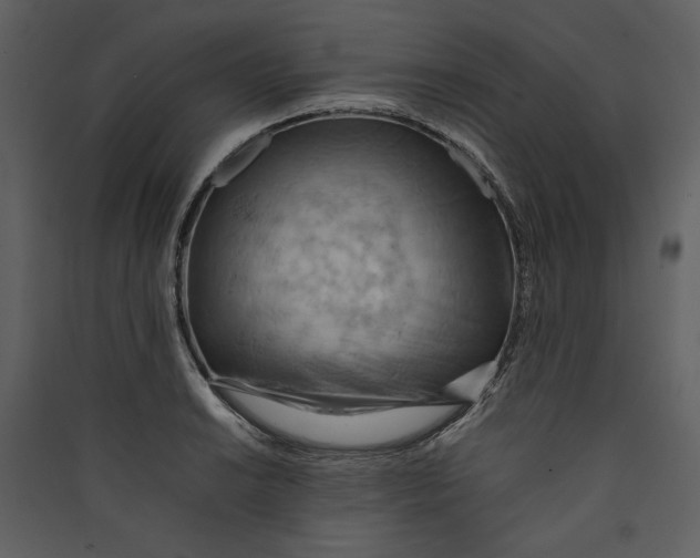 X0000089371038200707131632