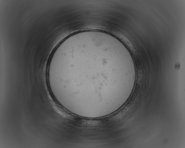 X0000089371039200707131632