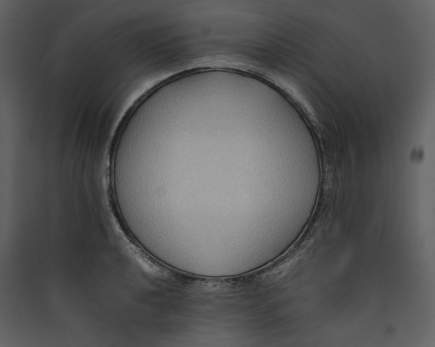 X0000089371040200707131632