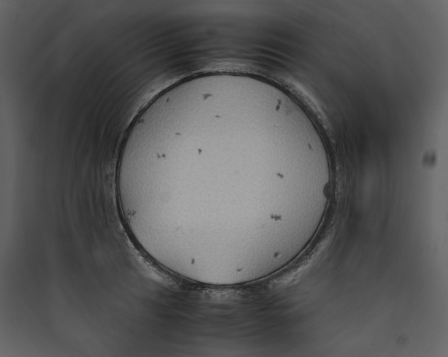 X0000089371041200707131632