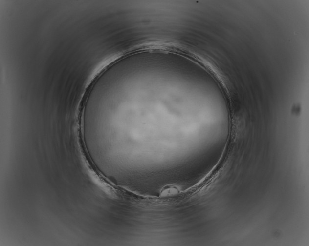 X0000089371042200707131632