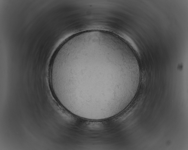 X0000089371043200707131632