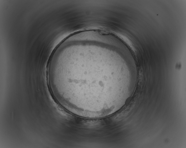 X0000089371047200707131632