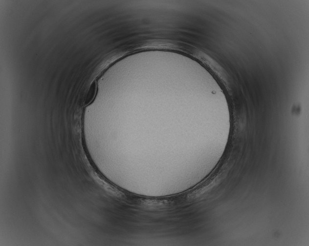 X0000089371049200707131633