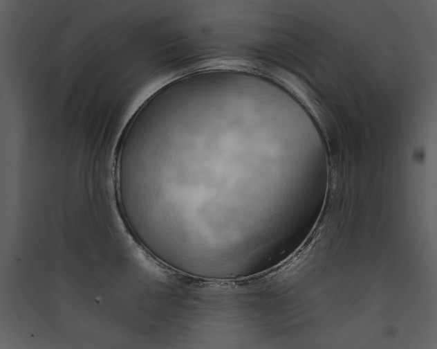 X0000089371050200707131633