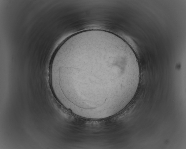 X0000089371051200707131633