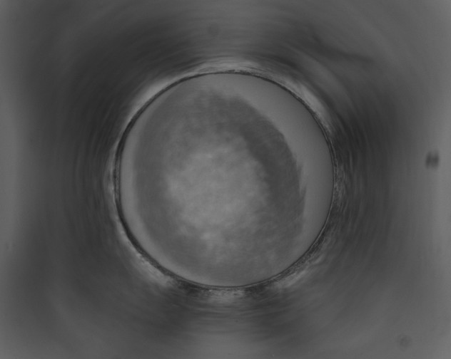 X0000089371055200707131633