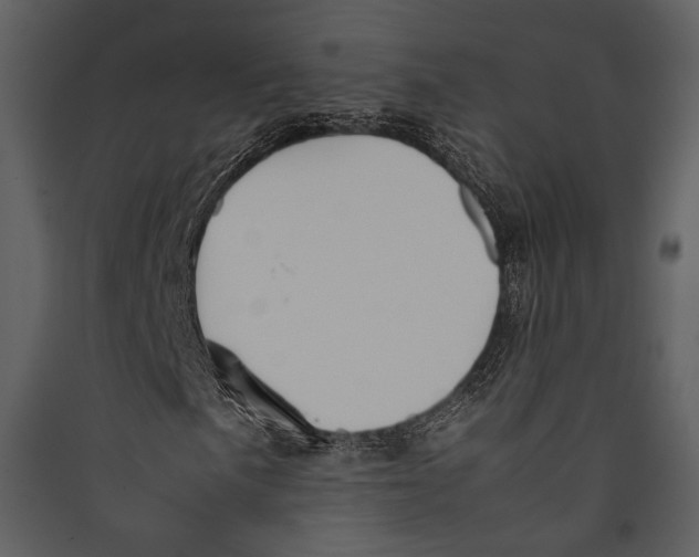 X0000089371057200707131632