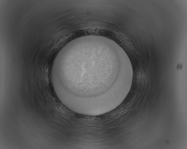 X0000089371060200707131632