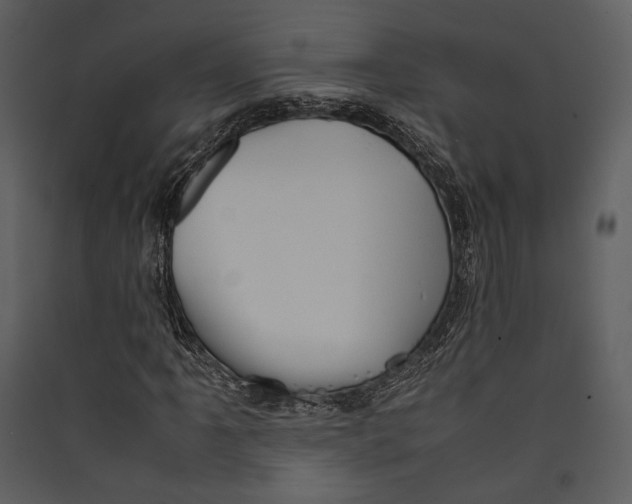 X0000089371061200707131632