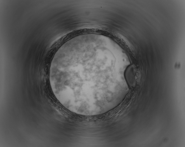 X0000089371064200707131632