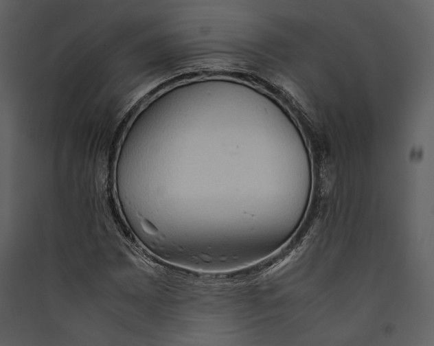 X0000089371065200707131632