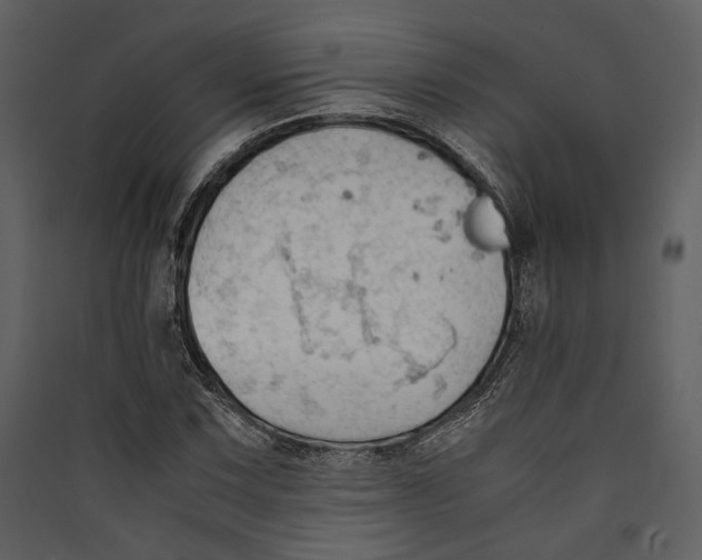 X0000089371067200707131632