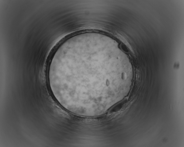 X0000089371068200707131632