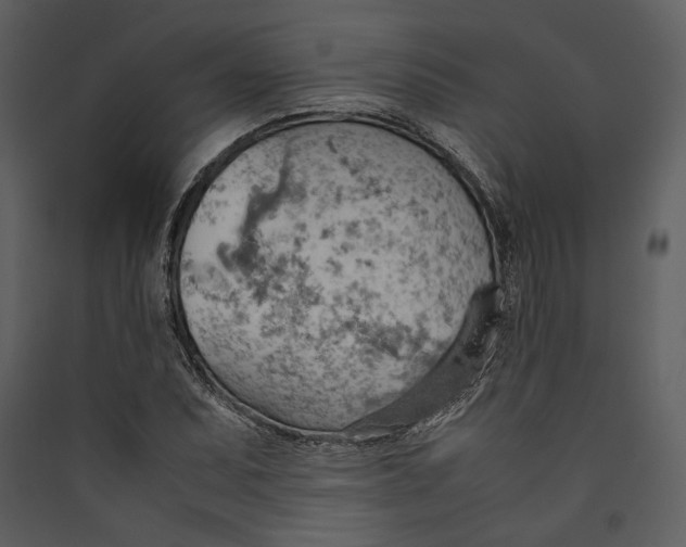 X0000089371071200707131632