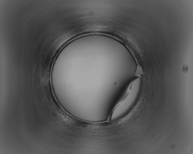 X0000089371073200707131632