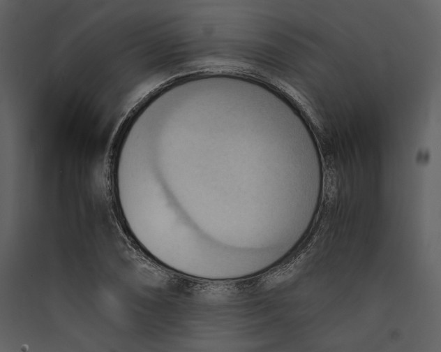 X0000089371074200707131632