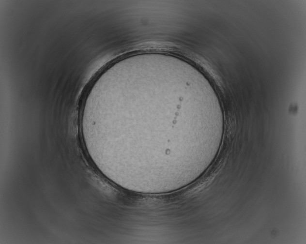 X0000089371075200707131632