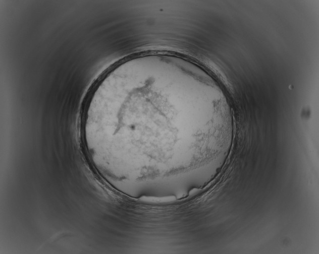 X0000089371076200707131632