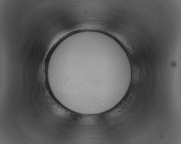 X0000089371078200707131632