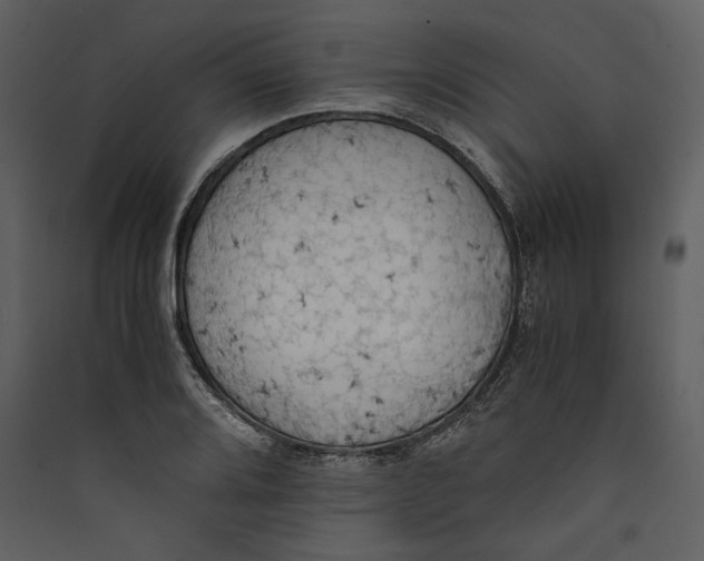 X0000089371080200707131632