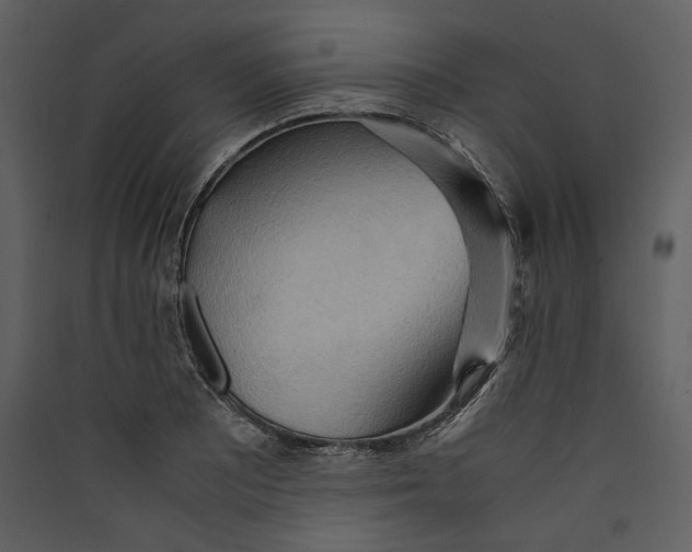 X0000089371081200707131632